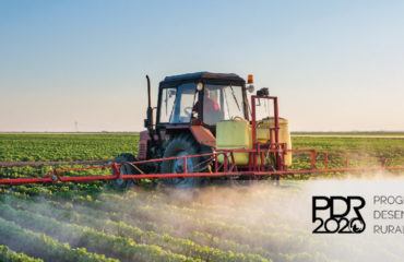 Candidaturas Portugal 2020 – setor agrário -ZONAVERDE candidaturas-portugal2020-zonaverde-blog